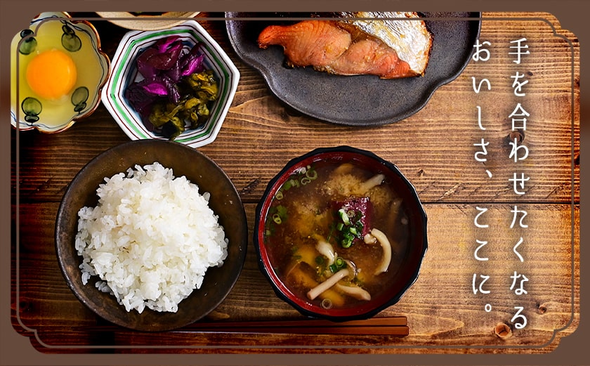 都城産ひのひかり5kg(5kg×1袋)_AO-A701_(都城市) 都城産 お米 5kg ひのひかり