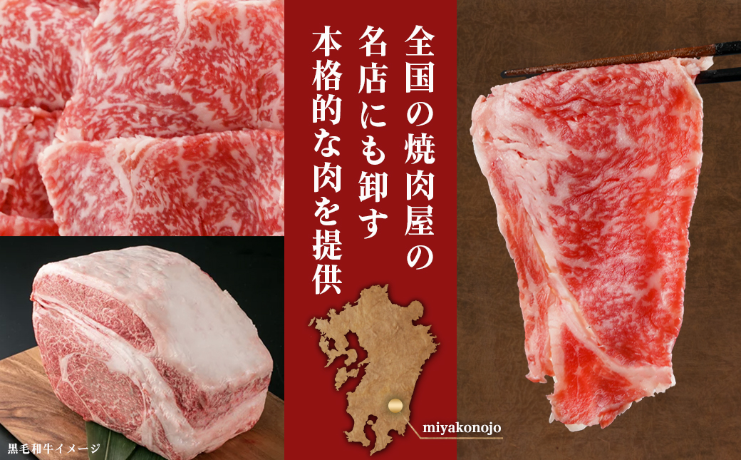 【年内お届け】【黒毛和牛】ロースすき焼き用500g≪2025年12月15日～31日お届け≫_AO-I901-HNY