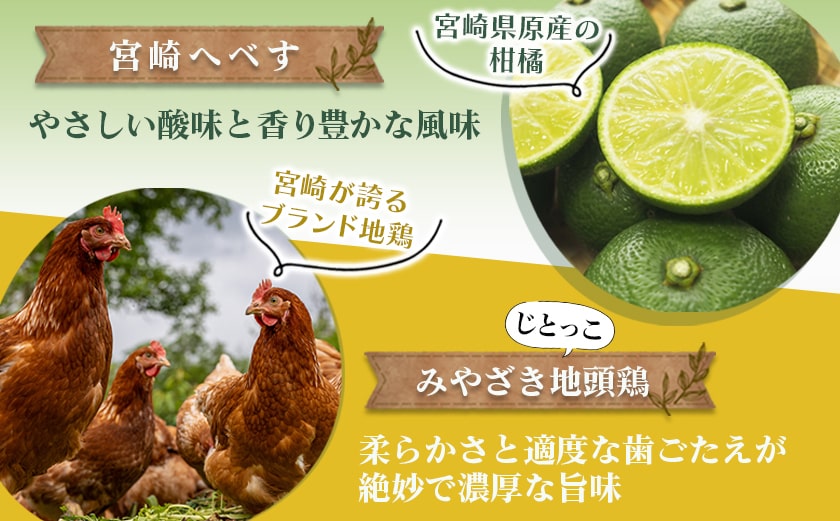 宮崎へべすとみやざき地頭鶏の濃厚クリーミーカレー4パック※ポスト投函_LB-1503