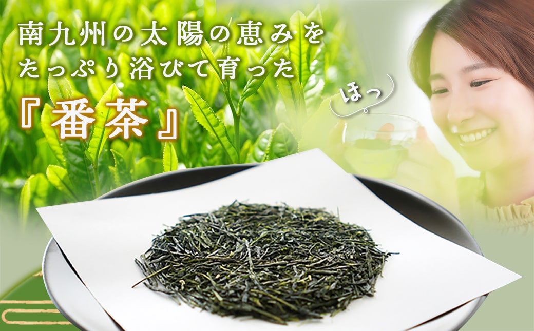 どどーんと緑茶詰合せセット 600g(200g×3袋)≪みやこんじょ快速便≫_LE-C301-R