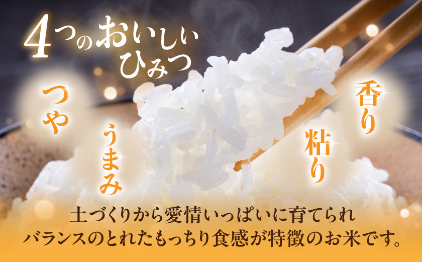 都城盆地のお米「おてんとそだち」3kg_LG-15-006-3kg