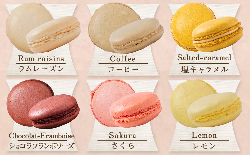 静マカロン缶☆選べる8個セット_LG-C202