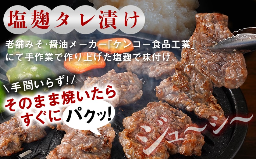 牛ハラミ 塩麹タレ漬け900g≪みやこんじょ特急便≫_LG8-3309-Q_【肉 牛肉 焼き肉 焼肉 人気 おすすめ】