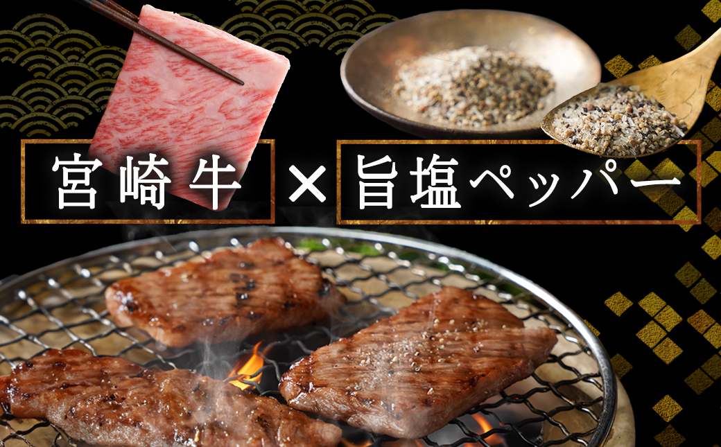 宮崎牛肩ロース焼肉700g_MA-2412_【肉 牛肉 焼き肉 焼肉 人気 おすすめ 国産 宮崎県産】