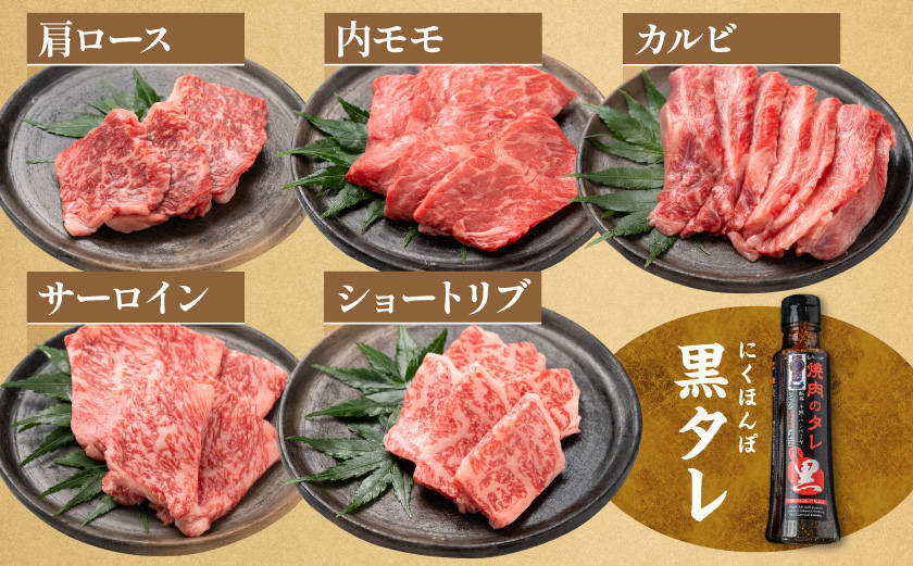 【数量限定】宮崎牛9種盛り焼肉セット(各600g×6P)_MC-3101_【肉 牛肉 焼き肉 焼肉 人気 おすすめ 国産 宮崎県産】