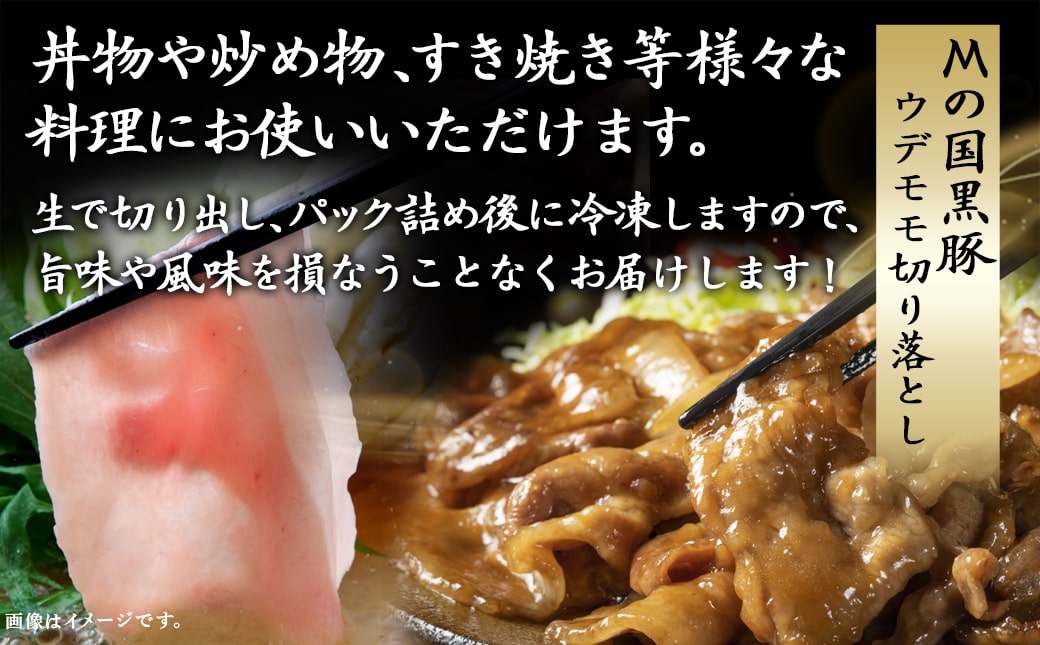 都城産黒豚「Mの国黒豚」切り落とし2.8kg≪みやこんじょ特急便≫_MJ-0108-Q