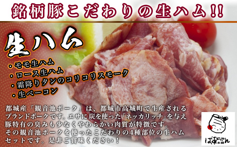 【☆クリスマス☆】「観音池ポーク」4種部位の生ハム950ｇセット≪12月20日～23日お届け≫_MJ-1505-OJX