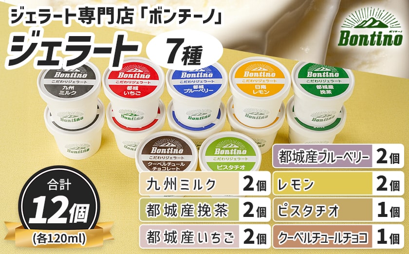 【☆クリスマス☆】ジェラート専門店「ボンチーノ」7種12個セット≪12月20日～23日お届け≫_MJ-1565-OJX
