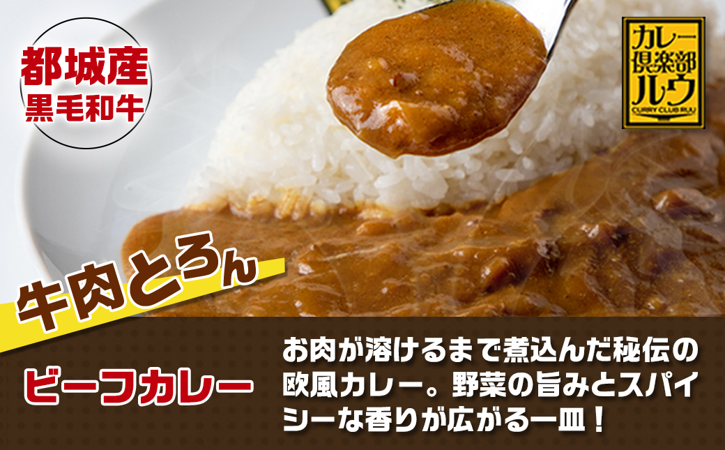 ルウ王子厳選カレーセット プロが選ぶカレーをも～っと楽しめるトッピング4種付_MJ-2707