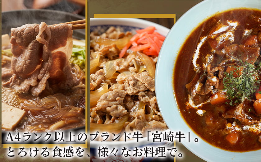 宮崎牛盛り合わせセット_MJ-31-011