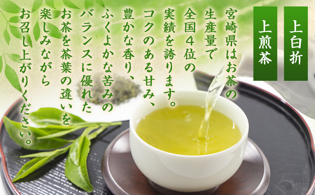 ≪特選茶≫煎茶・白折味くらべセット_MJ-4804