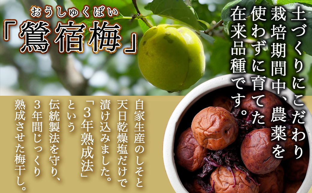 徳重おばあちゃんがつくった昔ながらの3年熟成梅干600g_MJ-4901