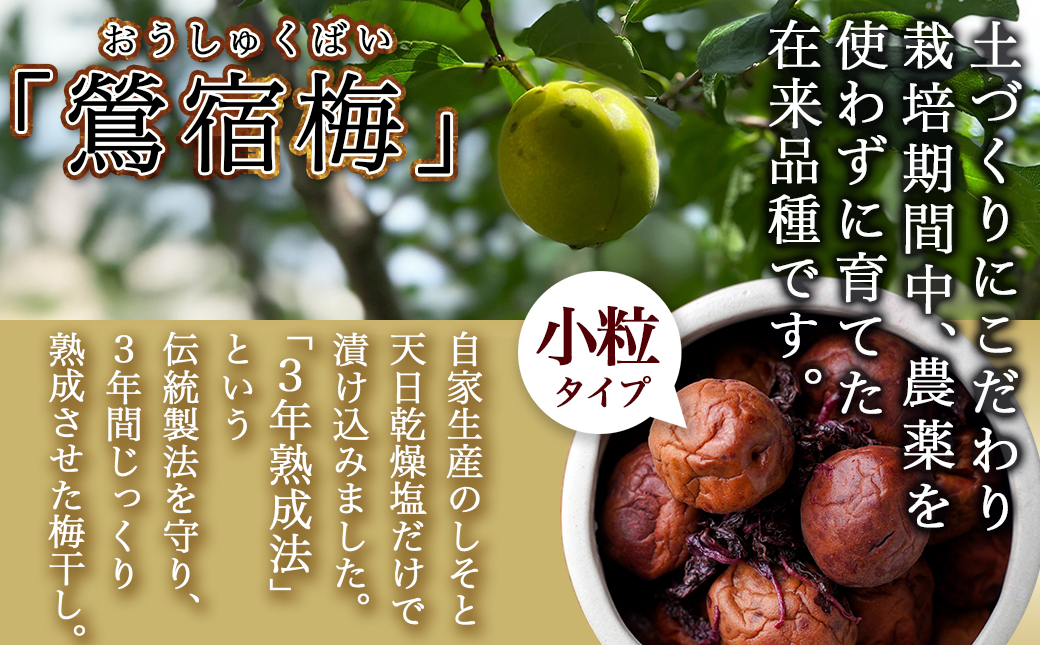 徳重おばあちゃんの3年熟成小粒梅干し1kg_MJ-4904