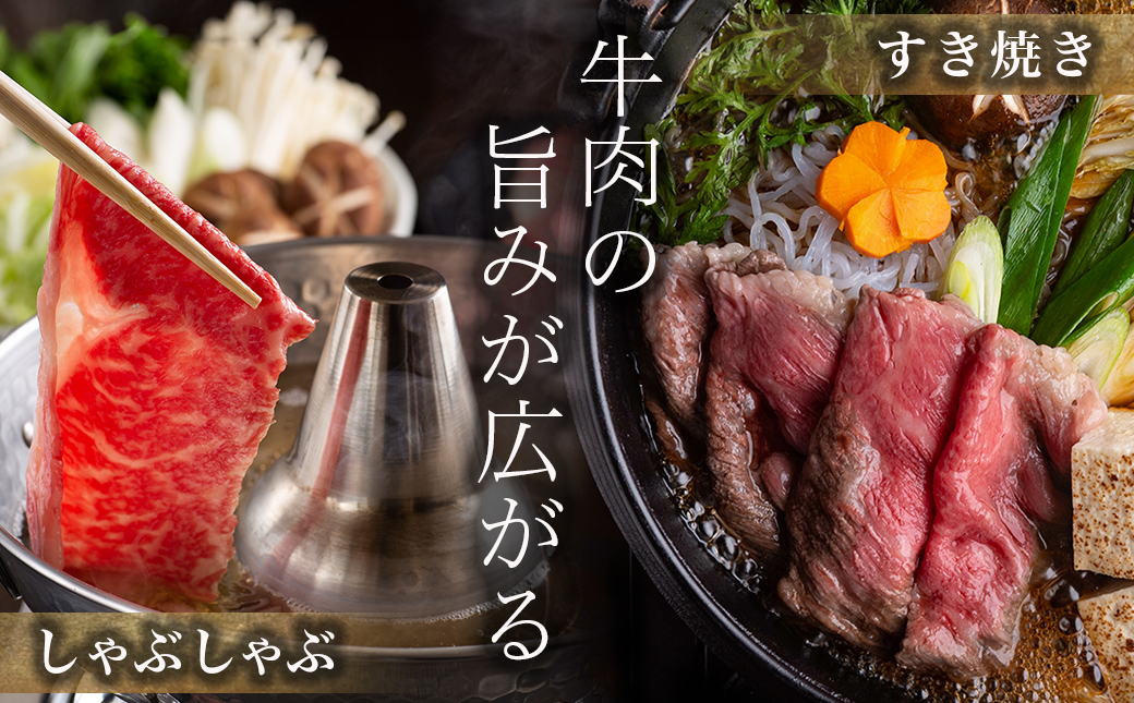 宮崎牛肩ローススライス500g_MJ-N301