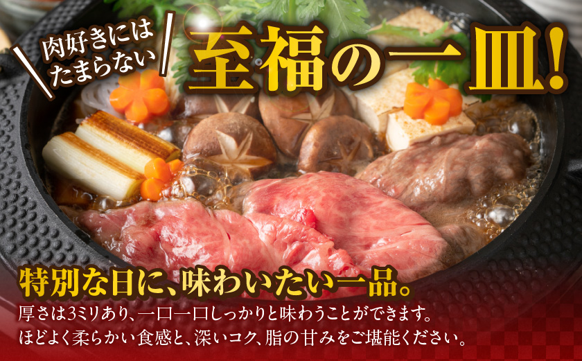 宮崎牛ローススライス400g≪大判サイズ≫_MJ-N304