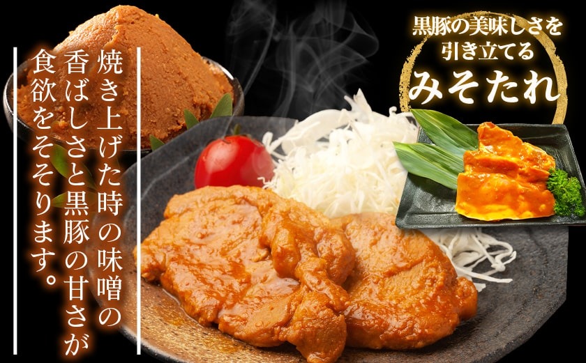 黒豚味噌漬け100g×9枚(真空)_MJ-N407