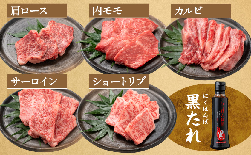 【数量限定】宮崎牛9種盛り焼肉セット(各600g×3P)≪みやこんじょ特急便≫_MM-31-006-1800g-Q_【肉 牛肉 焼き肉 焼肉 人気 おすすめ 国産 宮崎県産】