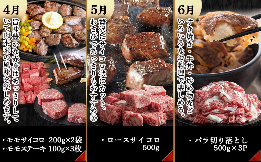 宮崎牛定期便(12回お届け) Dコース_T100(12)-2501