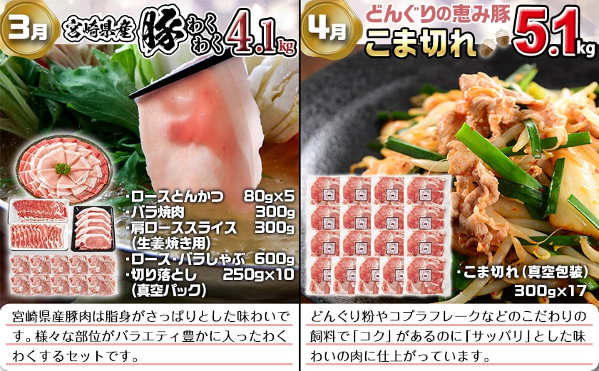 【セレクト定期便】ど～んと総重量26.1kg☆豚ボリューム定期便(6ヶ月)≪2026年お届け≫_T104-MY01