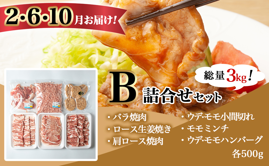 「きなこ豚」バラエティ定期便(10ヶ月)_T120（10）-1202