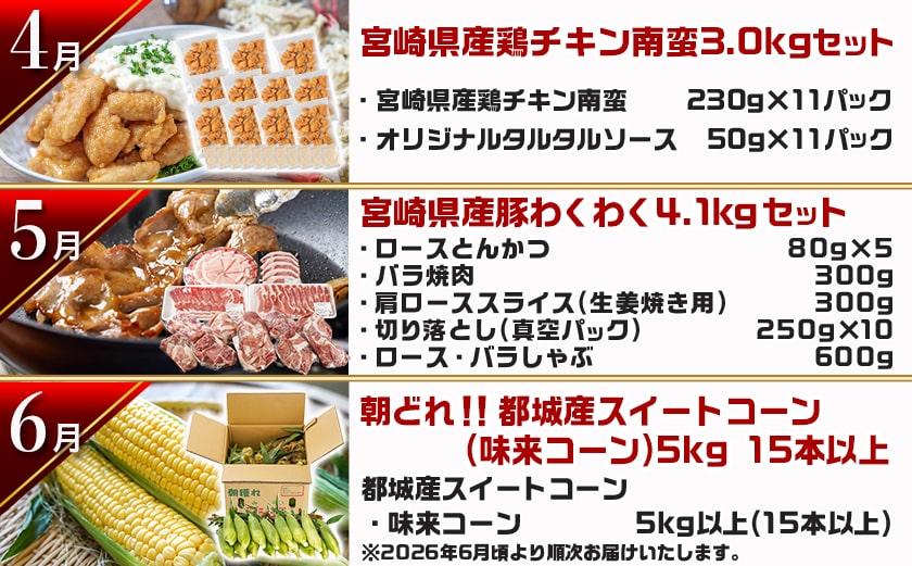 【セレクト定期便】第1弾☆都城市ご当地グルメ定期便(12ヶ月)≪2026年お届け≫_T156-MY01