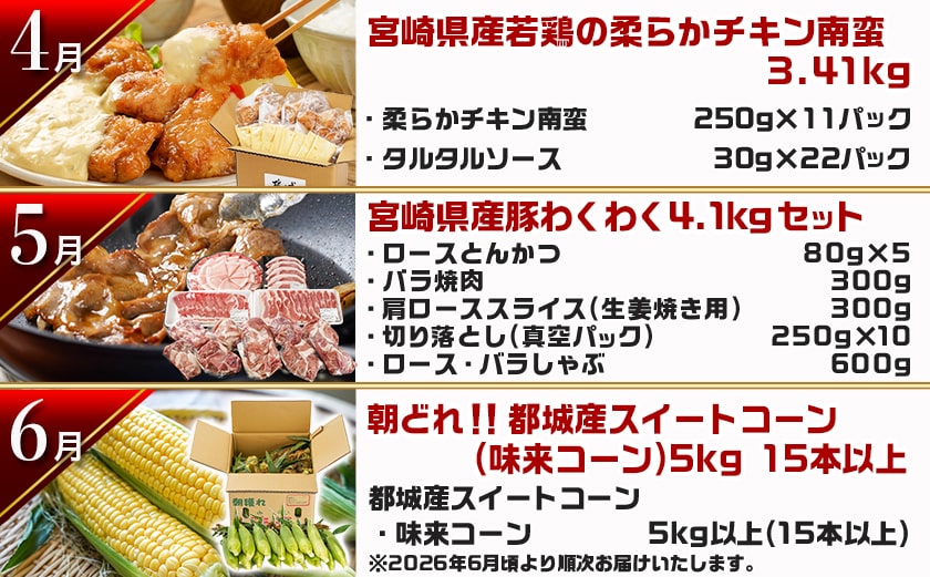 【セレクト定期便】第3弾☆都城市ご当地グルメ定期便(12ヶ月)≪2026年お届け≫_T180-MY01