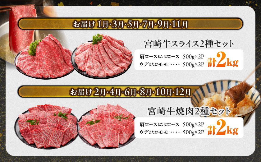 ≪6回連続お届け≫宮崎牛赤身霜降り食べ比べ定期便L(総重量12kg)_T192-6-N201