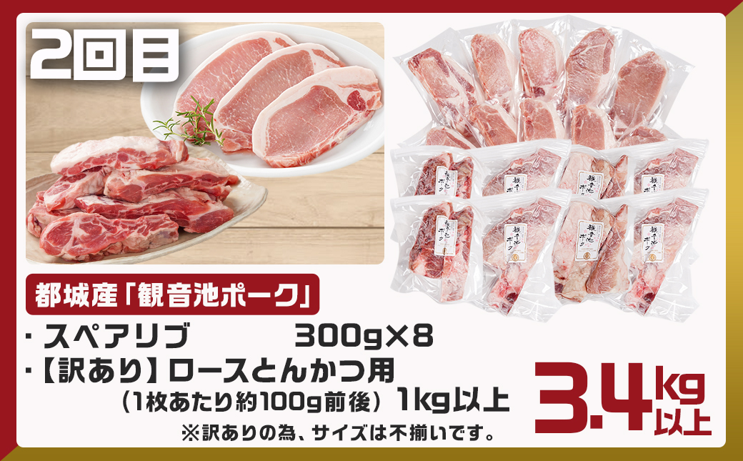 《3回連続お届け》観音池ポーク&宮崎県産豚定期便_T45-3-9201