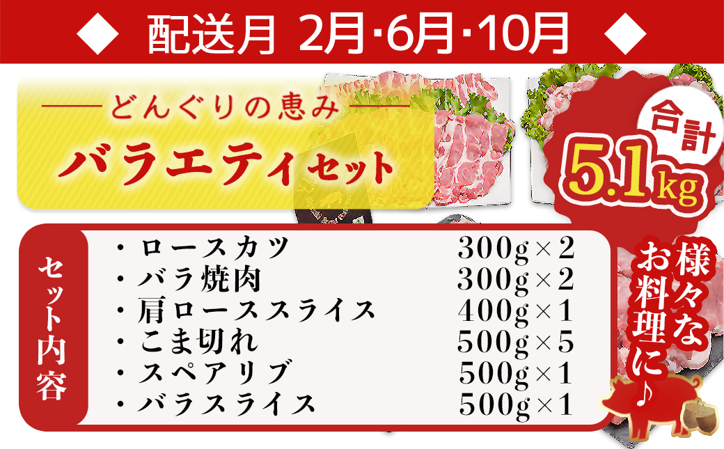 「どんぐりの恵み豚」お肉満載定期便(5ヶ月)_T60(5)-1102