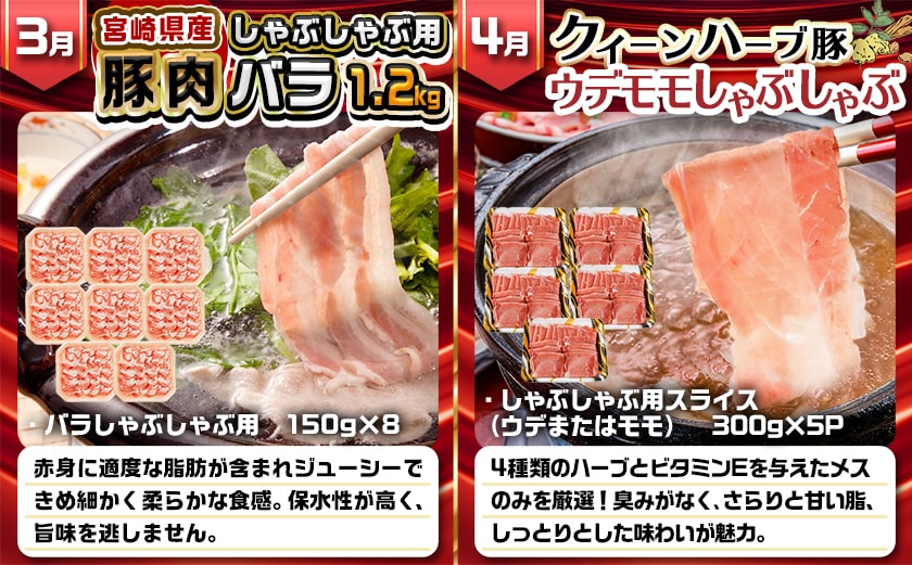 【セレクト定期便】☆豚しゃぶしゃぶ+2月豚小間付き☆定期便(5ヶ月)≪2026年お届け≫_T62-MY02