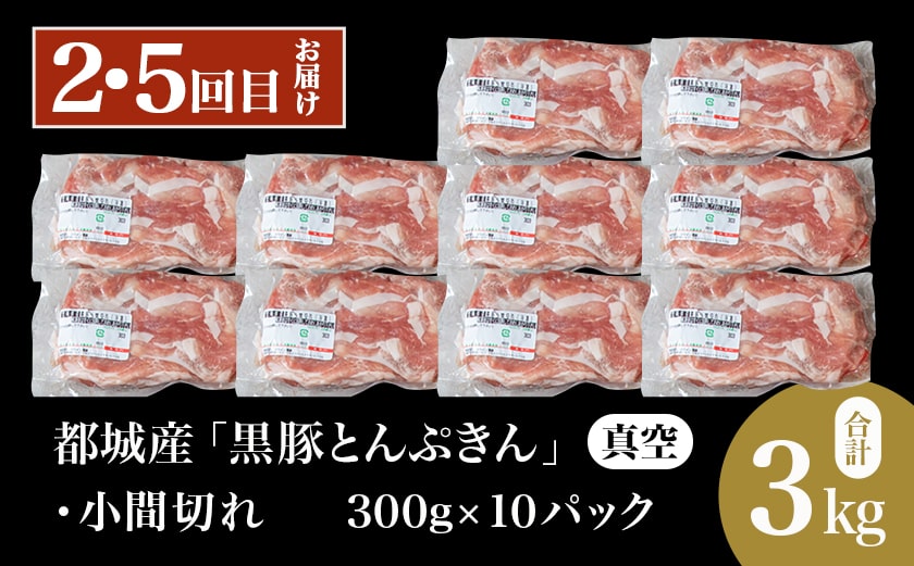 【6回お届け!】「黒豚とんぷきん」定期便≪総重量16kg≫_T90-6-5901