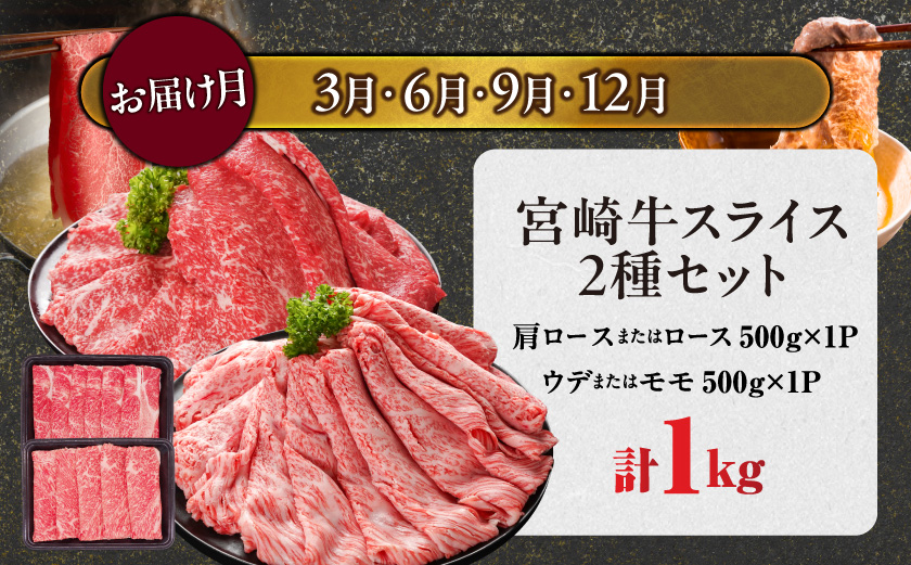 ≪6回連続お届け≫とにかくお肉大好き!宮崎牛と宮崎県産豚定期便M(総重量8.6kg)_T96-6-N201