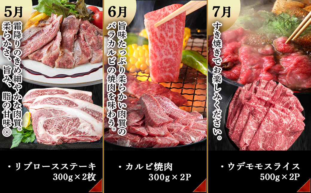 宮崎牛定期便(10回お届け) Cコース_TAC10-2501