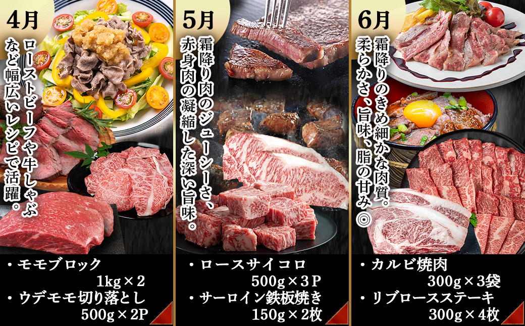 宮崎牛定期便(12回お届け) Hコース_TAI12-2501