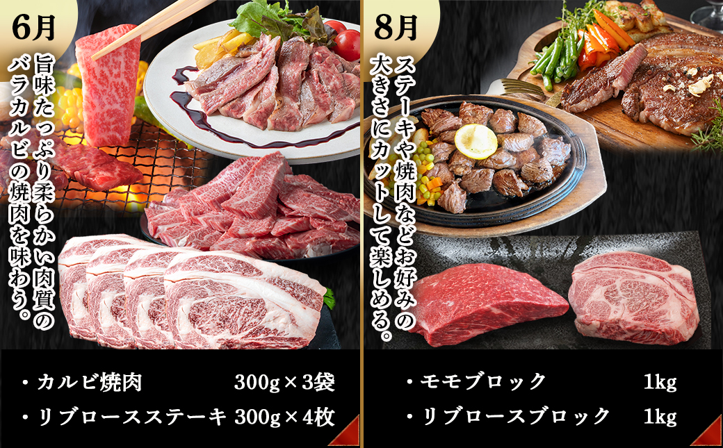 宮崎牛定期便(6回お届け) Eコース_TAI6-2501