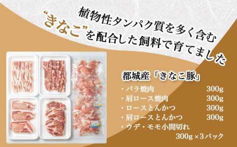 「きなこ豚」焼肉・とんかつセット 計2.1kg_MJ-1204