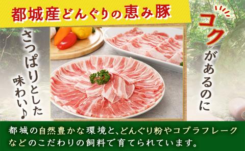 「どんぐりの恵み豚」こだわりのバラしゃぶしゃぶ1.2kg_13-1101