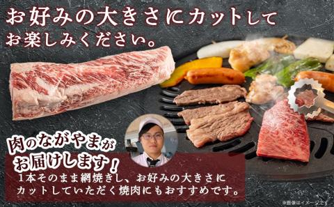 宮崎牛中落ち1.2kg_MJ-2509