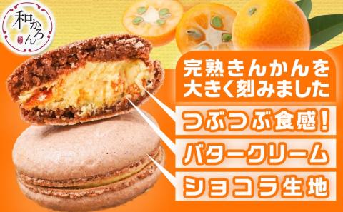 完熟きんかんのフローズンセット_AA-J701