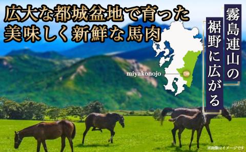 ≪家庭用≫馬刺し用赤身ブロック_19-0103