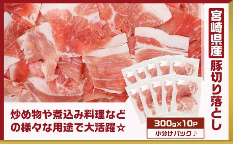 観音池ポークミンチ&宮崎県産豚切り落とし 6kg_22-9201
