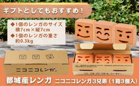 ニコニコレンガ3兄弟(1箱3個入)_LF-K301