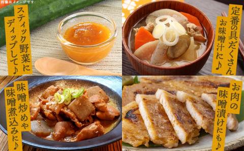 お家で簡単!味噌づくりキット【麦味噌】_AA-G802