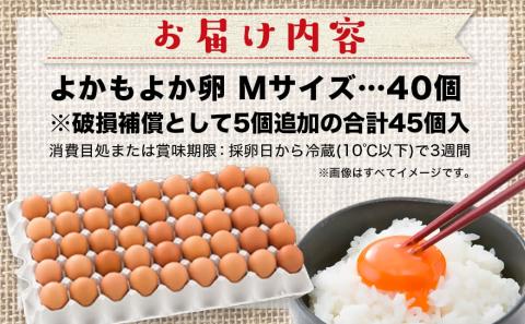 よかもよか卵40個_AA-2910