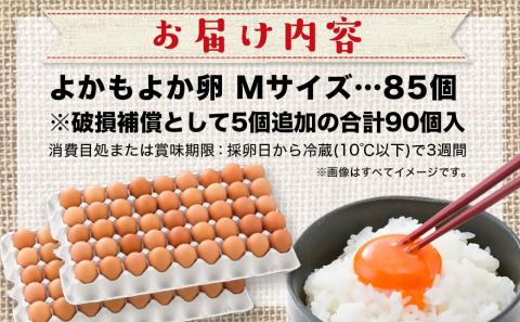 よかもよか卵85個_MJ-2910