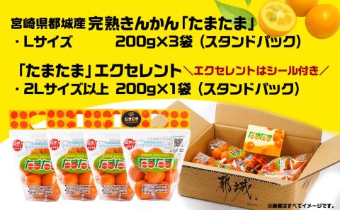《先行受付!》 完熟きんかん「たまたまL」&「たまたまExcellent」 計800g (スタンドパック入り)_AO-0103