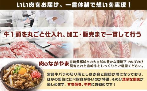 【元気モリモリ福袋】宮崎牛切り落とし・鉄板焼き用サーロイン2枚セット_AE-2501_【肉 牛肉 切り落とし 焼き肉 焼肉  ステーキ スライス すき焼き しゃぶしゃぶ 人気 おすすめ 国産】