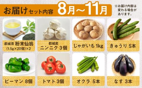 都城茶と都城産季節の野菜セット_AA-3701