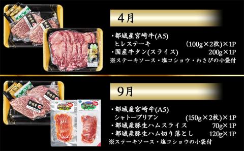 【数量限定】牛タン&シャトーブリアンが届く贅沢定期便_TMM2-0101_【肉 牛肉 切り落とし 焼き肉 焼肉  ステーキ スライス すき焼き しゃぶしゃぶ 人気 おすすめ 国産】