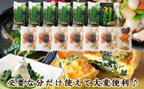 冷凍カット野菜セット_MJ-9224